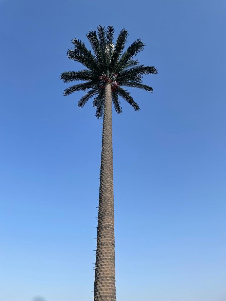 camouflaged cell Tower camouflaged cell Tower