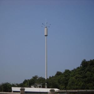 Camouflage Antenna Plant Tree Tower Ever Green Scenery Landscape Palm Tree Steel ...