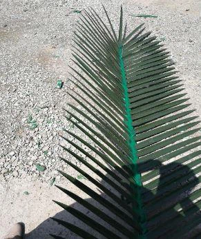Camouflage Palm Communication Tower