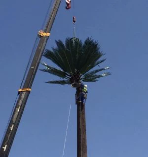 Hot Dipped Galvanized Steel Telecommunication Tower