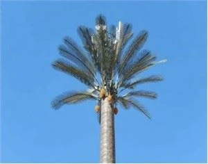 Palm Leaf For Disguised Cell Tower