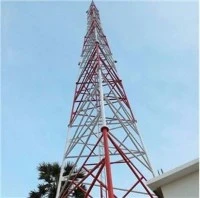 What is the role of radio poles in wireless communication?