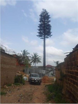 Camouflage Palm Tree Direct Bionic Tree Communication Tower